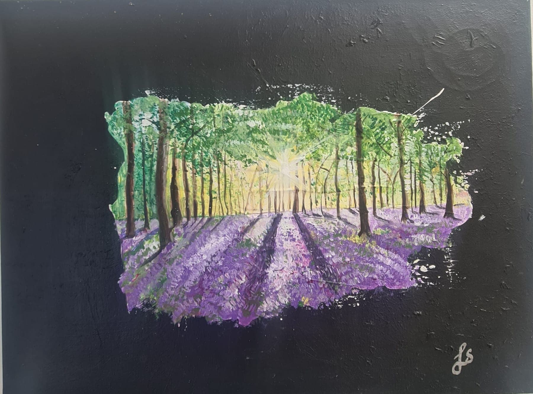 A small textured painting on a black ground: tall pale tree trunks with light breaking between them, and a drift of purple flowers running across the woodland floor.